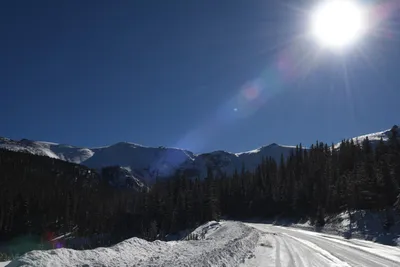 DSC_4956 (Large).JPG